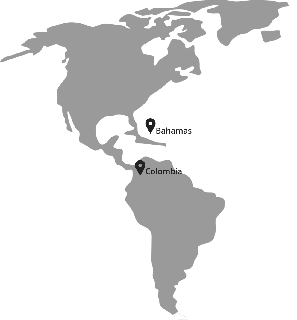 Presencia en múltiples países